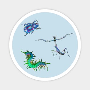 Blue and Green Bugs Mini Pack Magnet